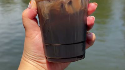 Brown Butter Maple Cold Brew — photo from a ParkEats review
