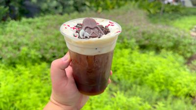 Darth by Chocolate Cold Brew — photo from a ParkEats review