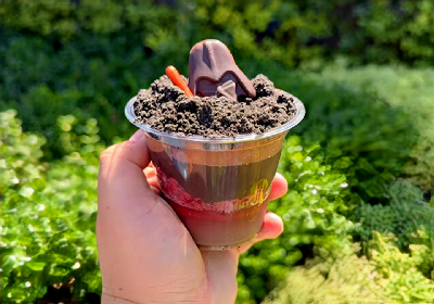 Darth by Chocolate — photo from a ParkEats review