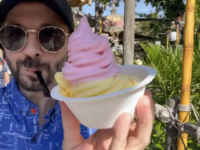 DOLE Whip Swirl — photo from a ParkEats review