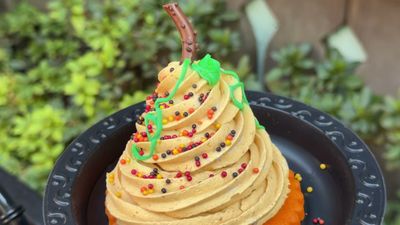 Enchanted Pumpkin Stuff — photo from a ParkEats review