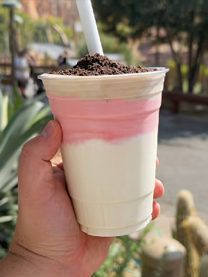 Flo's Classic Shake — photo from a ParkEats review