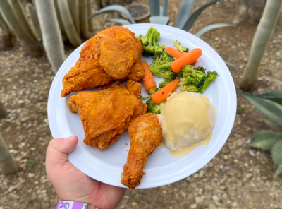 Flo's Famous Fried Chicken — photo from a ParkEats review