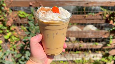 Grizzly Pumpkin Cold Brew Latte — photo from a ParkEats review