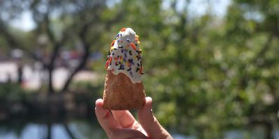 Halloween Matterhorn Macaroon — photo from a ParkEats review