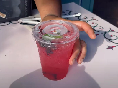 Hibiscus Mint Julep — photo from a ParkEats review