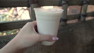 Horchata Slushy — photo from a ParkEats review