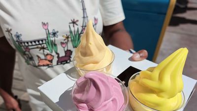 It's a Flight! — photo from a ParkEats review