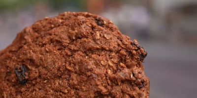 Oatmeal Raisin Cookie — photo from a ParkEats review