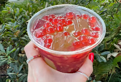 Oogie Boogie Apple Lemonade — photo from a ParkEats review