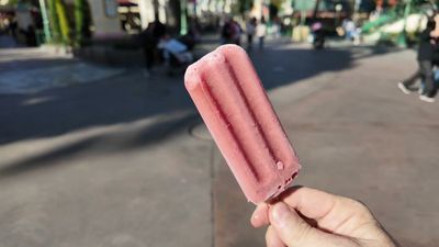 Outshine Strawberry Fruit Bar
