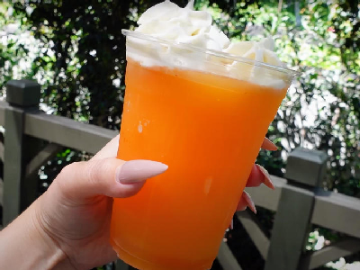 Peach Honey Tea Slush  — photo from a ParkEats review