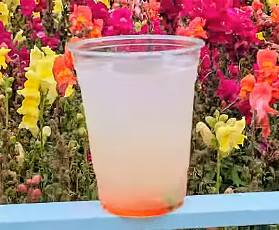 Picnic Time Watermelon Lemonade — photo from a ParkEats review
