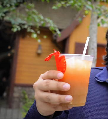 Pride Rock Punch — photo from a ParkEats review