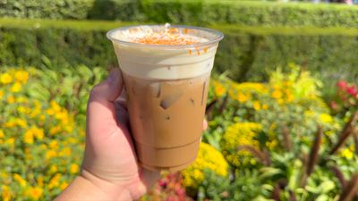 Pumpkin Cold Brew