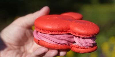 Raspberry-Rose Macaron — photo from a ParkEats review