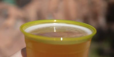 Santa Monica Brew Works Pickle Lager — photo from a ParkEats review
