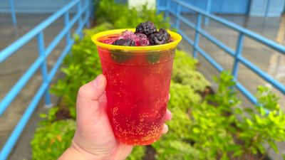 Seaborn Sangria