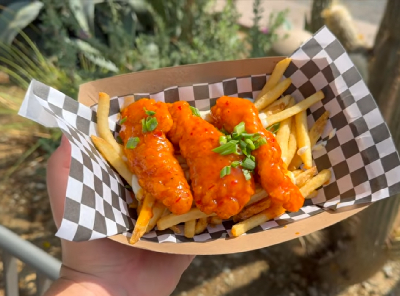 Spicy Chicken & Fries — photo from a ParkEats review