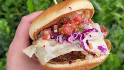 Stellar Spicy Chicken Sandwich — photo from a ParkEats review