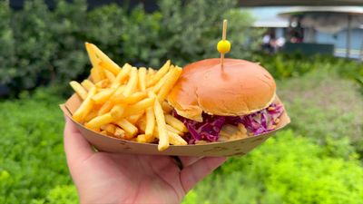 Stellar Spicy Chicken Sandwich — photo from a ParkEats review