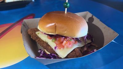 Stellar Spicy Chicken Sandwich — photo from a ParkEats review