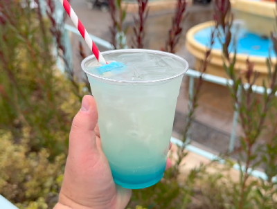 The Miss Daisy — photo from a ParkEats review