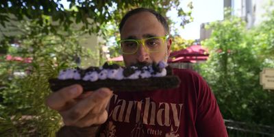 Ube Cheesecake Churro — photo from a ParkEats review