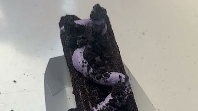 Ube Cheesecake Churro — photo from a ParkEats review