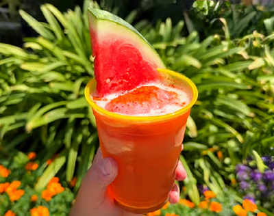 Watermelon Habanero Hard Float — photo from a ParkEats review