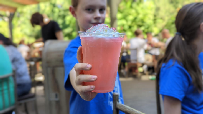 Watermelon Lemonade Freeze — photo from a ParkEats review