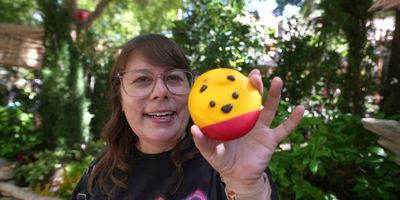 Winnie the Pooh Honey Cookie — photo from a ParkEats review