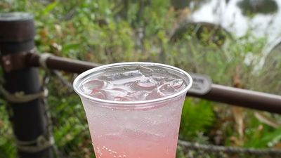 Bubbling Pink Lagoon with Vodka