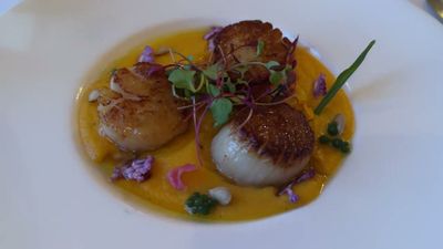 Coquilles Saint Jacques au potimarron et sirop d’érable