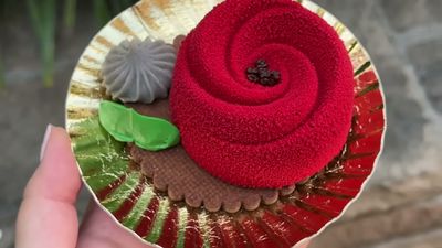 Enchanted Rose