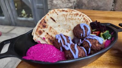 Felucian Falafel and Hummus Garden Spread