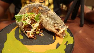 fried Catch of the Day