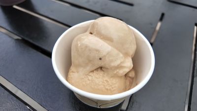 Gelati or Sorbetti in a Cup — photo from a ParkEats review