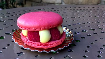 Macaron Framboise et Citron vert
