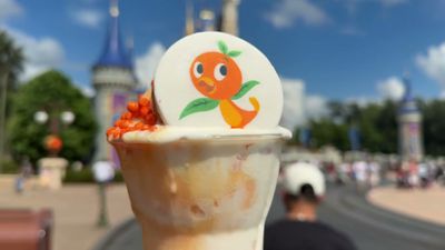 Orange Bird Sunshine Twist — photo from a ParkEats review