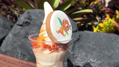 Orange Bird Sunshine Twist