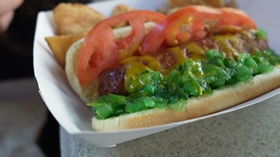 Plant-based Dog