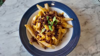 Plaza Loaded Fries — photo from a ParkEats review