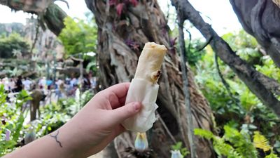 Pongu Lumpia — photo from a ParkEats review