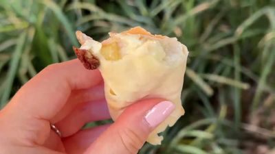 Pongu Lumpia