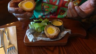 Scotch Egg