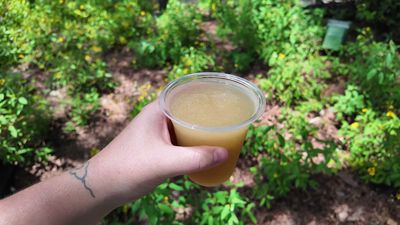 Spiced Apple Mule — photo from a ParkEats review