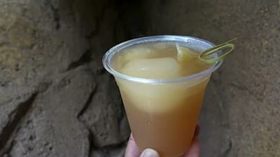 Spiced Apple Mule