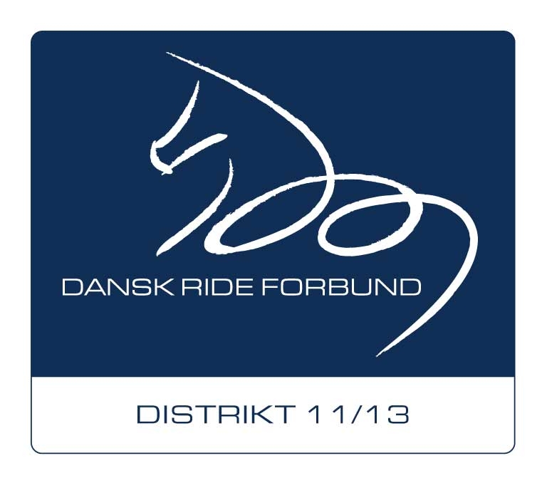 Distrikt 11/13 logo