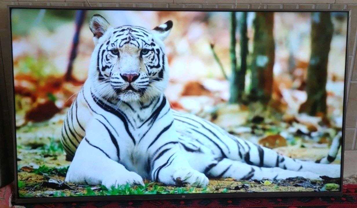 تلویزیون ال ای دی 55 شیامیی MI